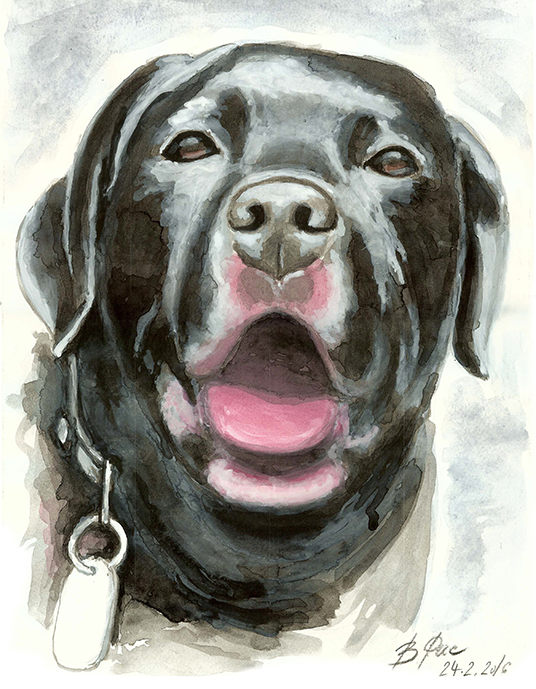 A watercolor portrait of a Rottweiler Buddy.