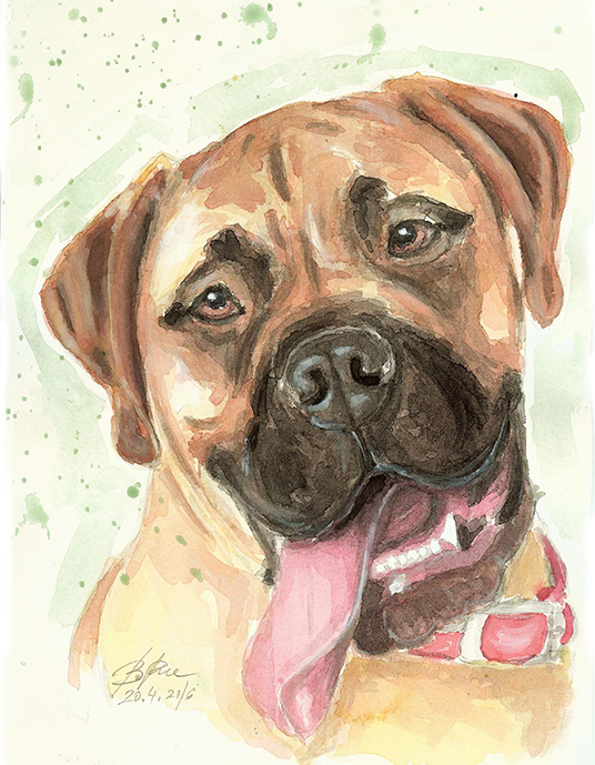 A watercolor portrait of a Bullmastiff.