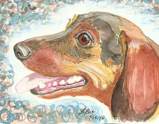 A watercolor portrait of a Dachshund.