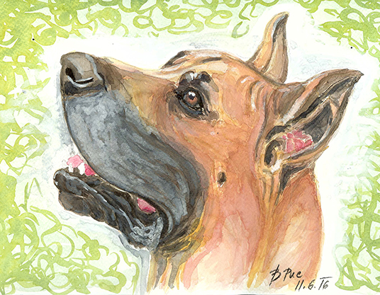 A watercolor portrait of a Great Dane.