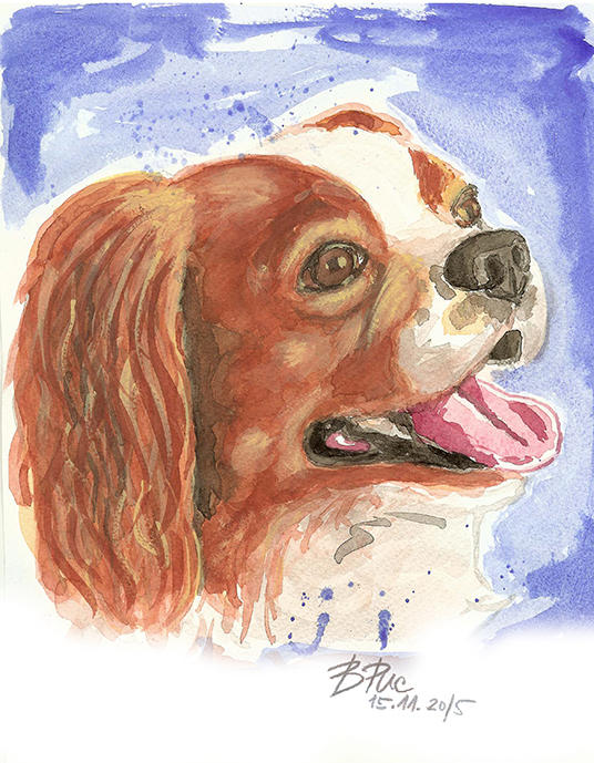 A watercolor portrait of a King Charles Spaniel in a wooden frame.