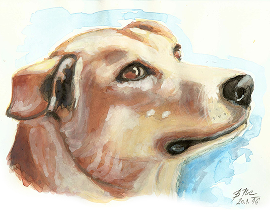 A watercolor portrait of a nice friendly dog in a silver painted frame.