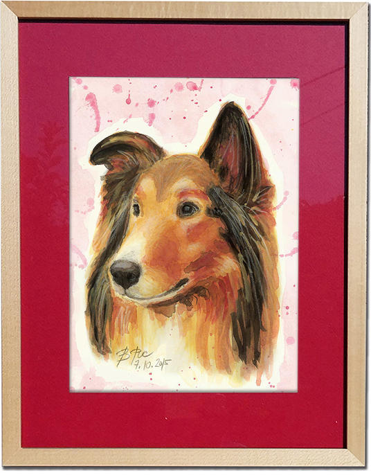 A watercolor portrait of a beautifull Scotch Collie.